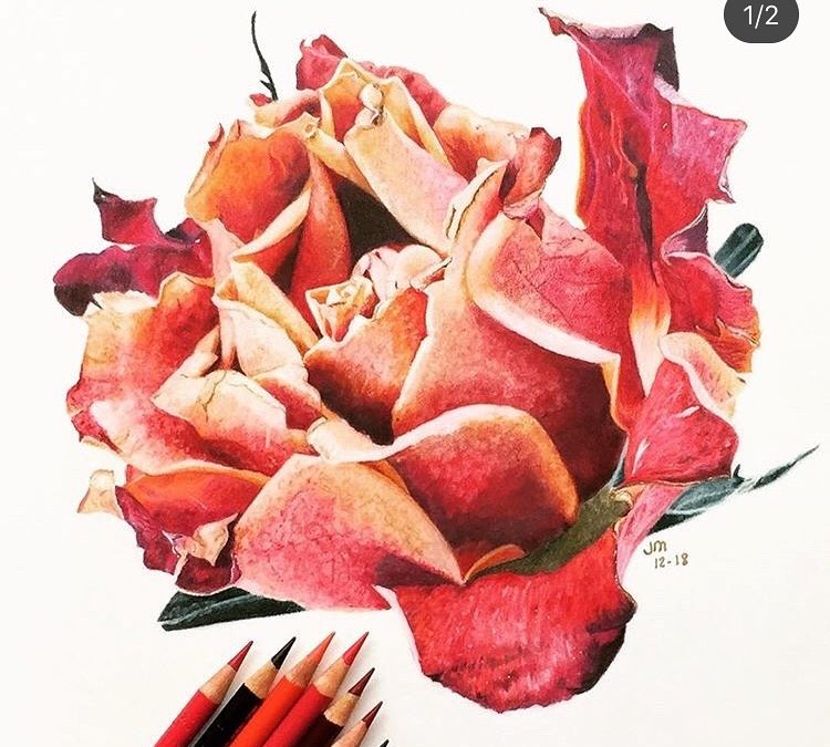 2019 Review/2020 Goals