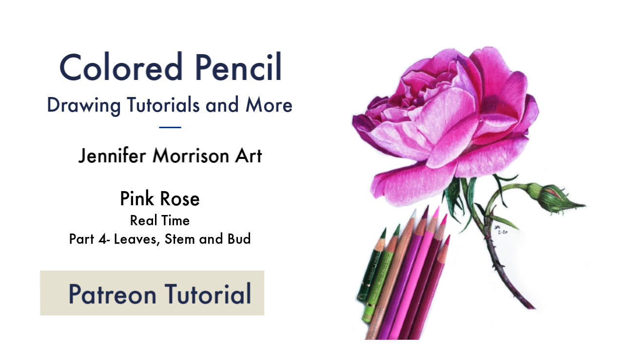Link to Colored Pencil Drawing Tutorial of a Pink Rose