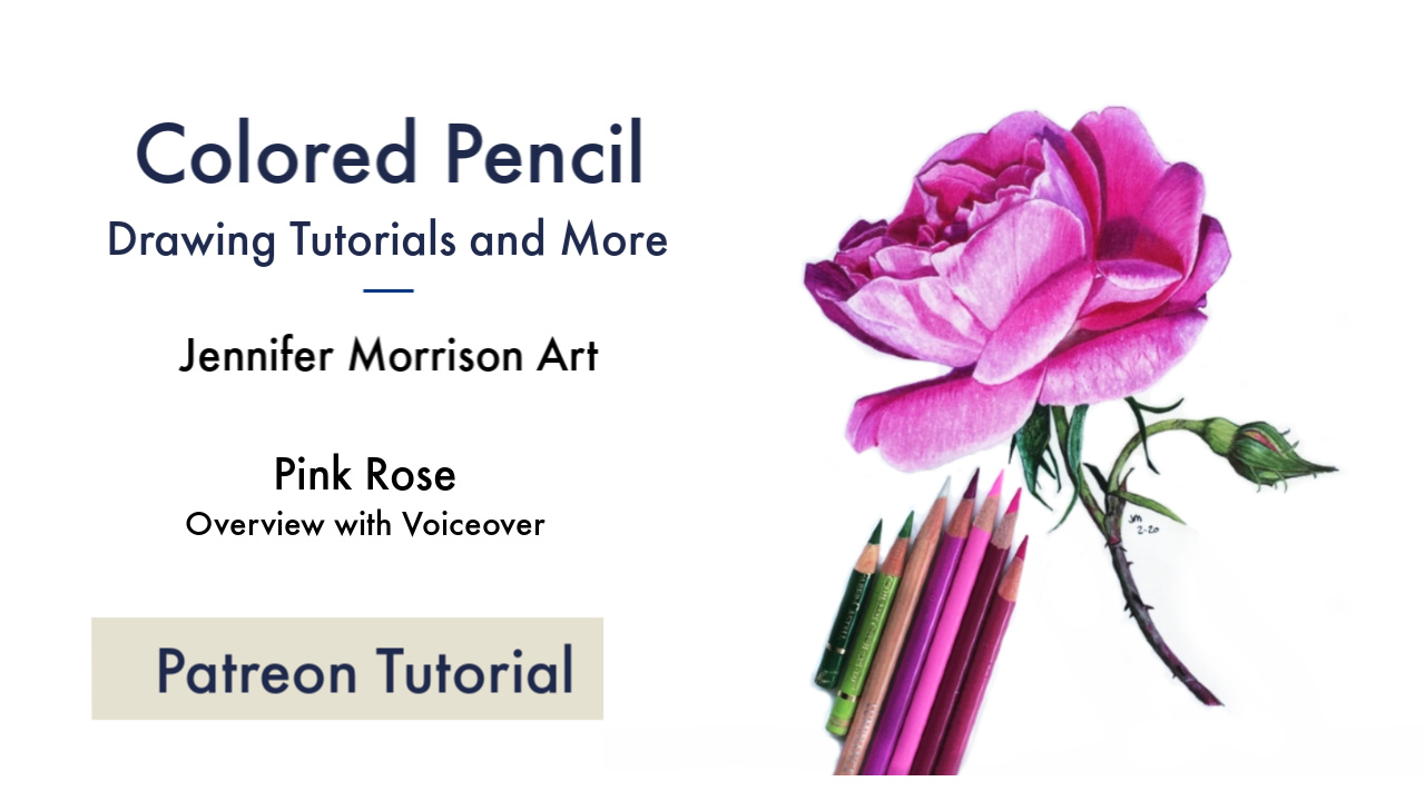 Link to Colored Pencil Drawing Tutorial of a Pink Rose