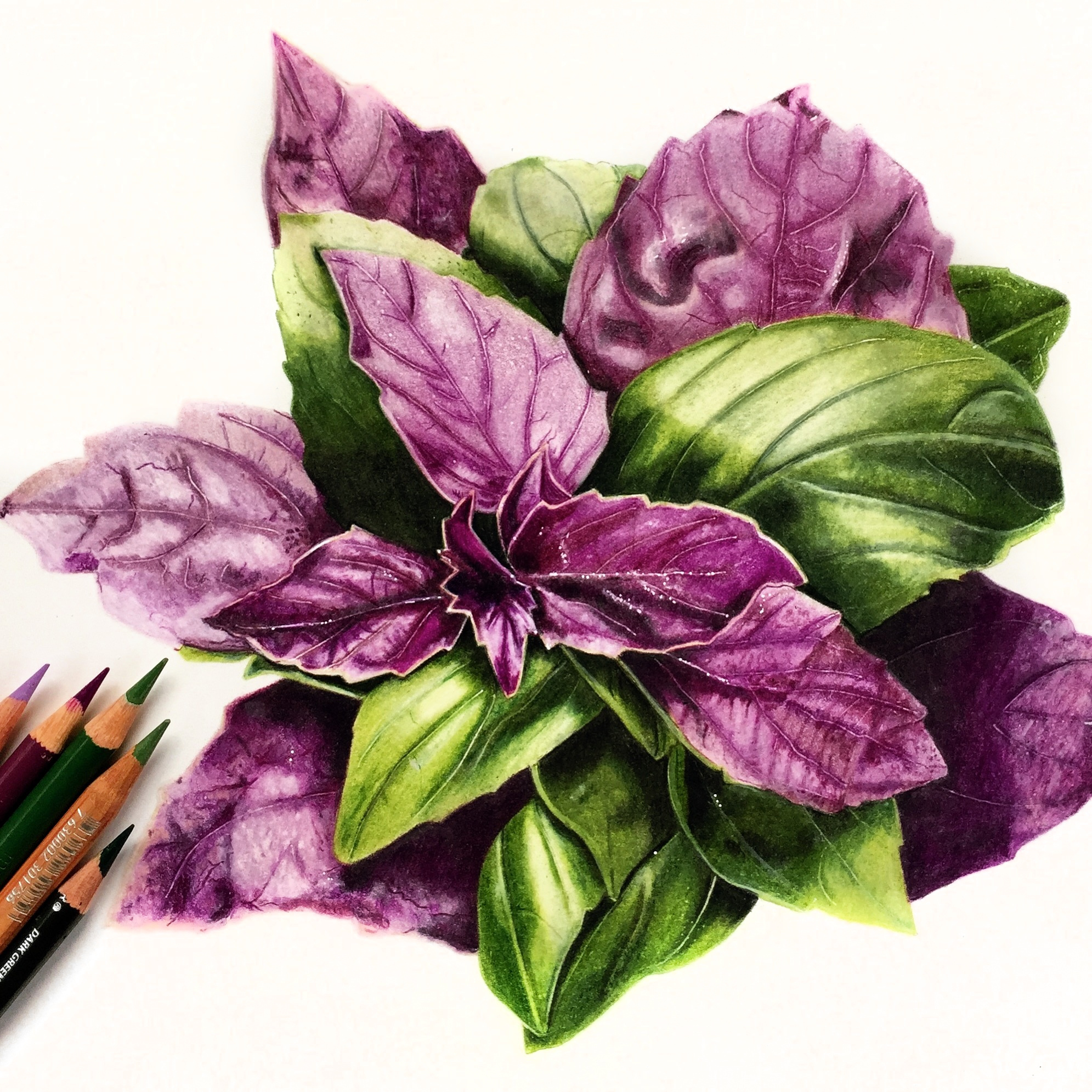 Beautiful Drawings with Colored Pencils on Trendy Art Ideas-anthinhphatland.vn