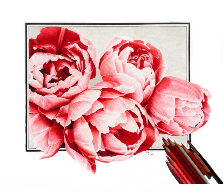 Colored Pencil Drawing Tips // Draw What You See