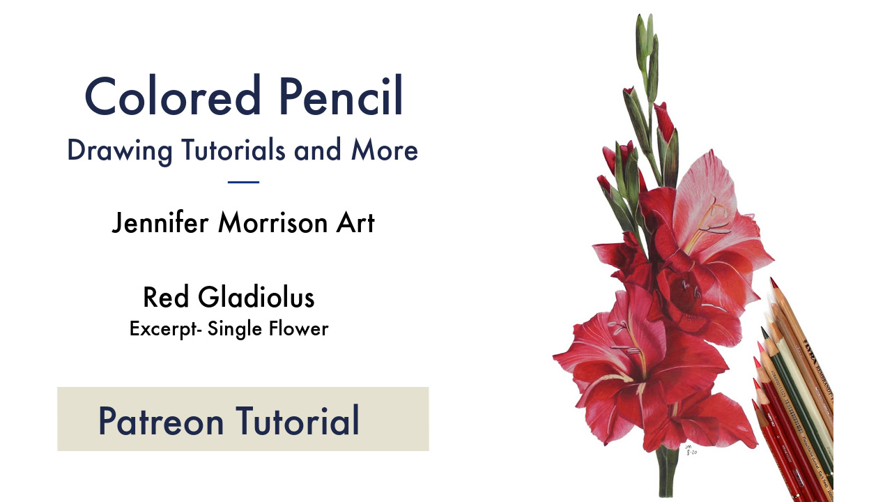 Link to Colored Pencil Drawing Tutorial of a Red Gladiolus
