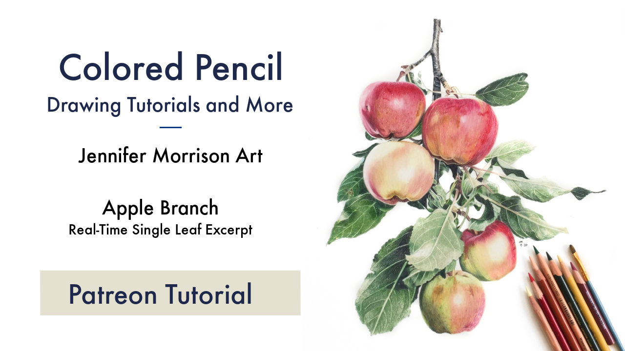 Colored Pencil Drawing Tutorial Apple Branch Link to Patreon