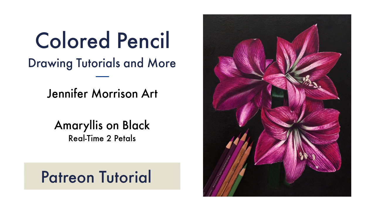 Link to Colored Pencil Drawing Tutorial of Amaryllis