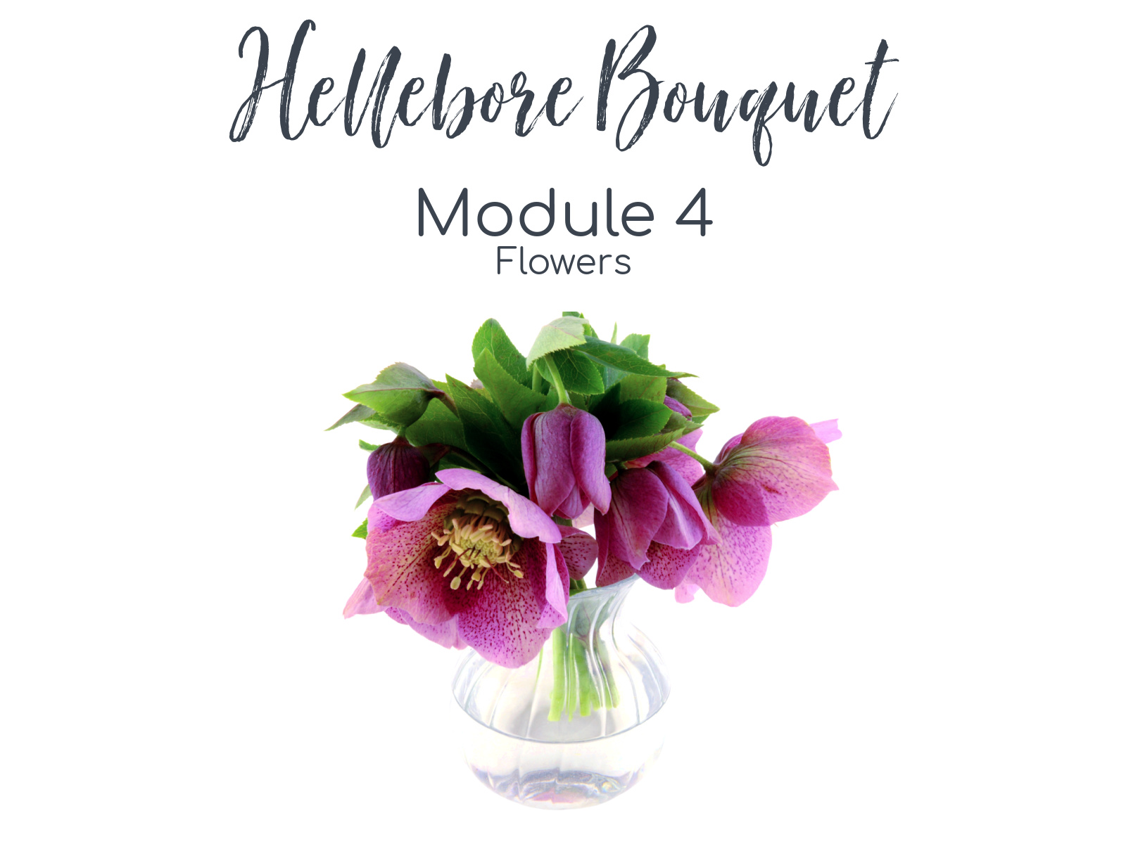 Link to Colored Pencil Drawing Tutorial of a Hellebore Bouquet