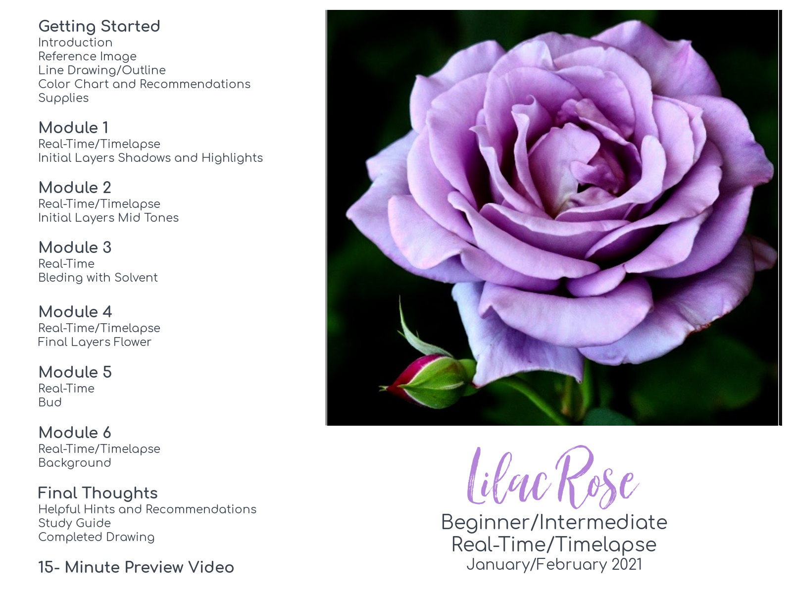 Link to Colored Pencil Drawing Tutorial of a Lilac Rose