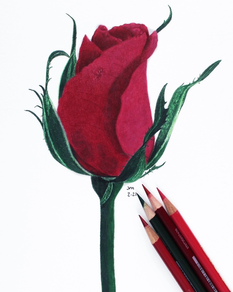 Rose sketch | Pencil drawings of flowers, Rose sketch, Art drawings sketches-saigonsouth.com.vn