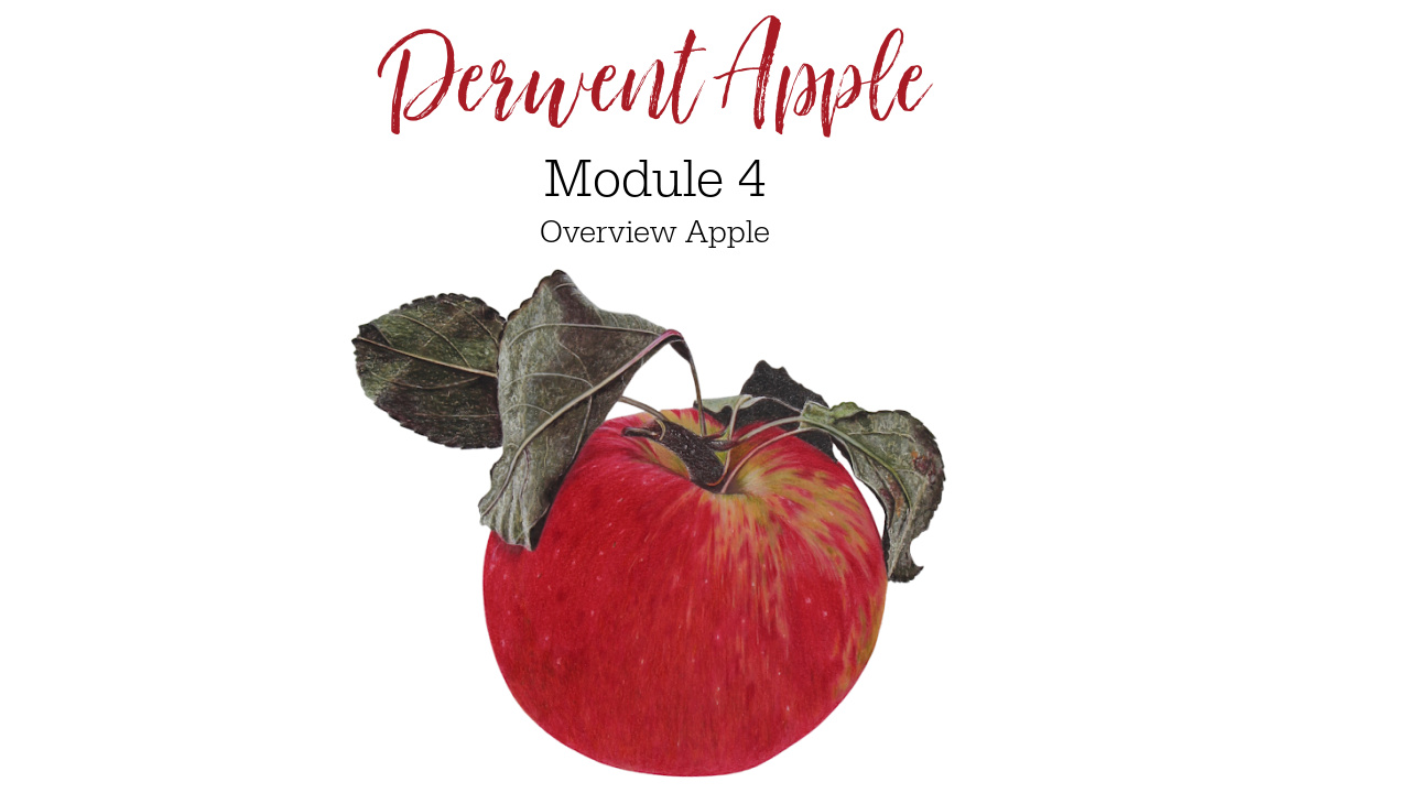 Link to Colored Pencil Drawing Tutorial of a Derwent Apple
