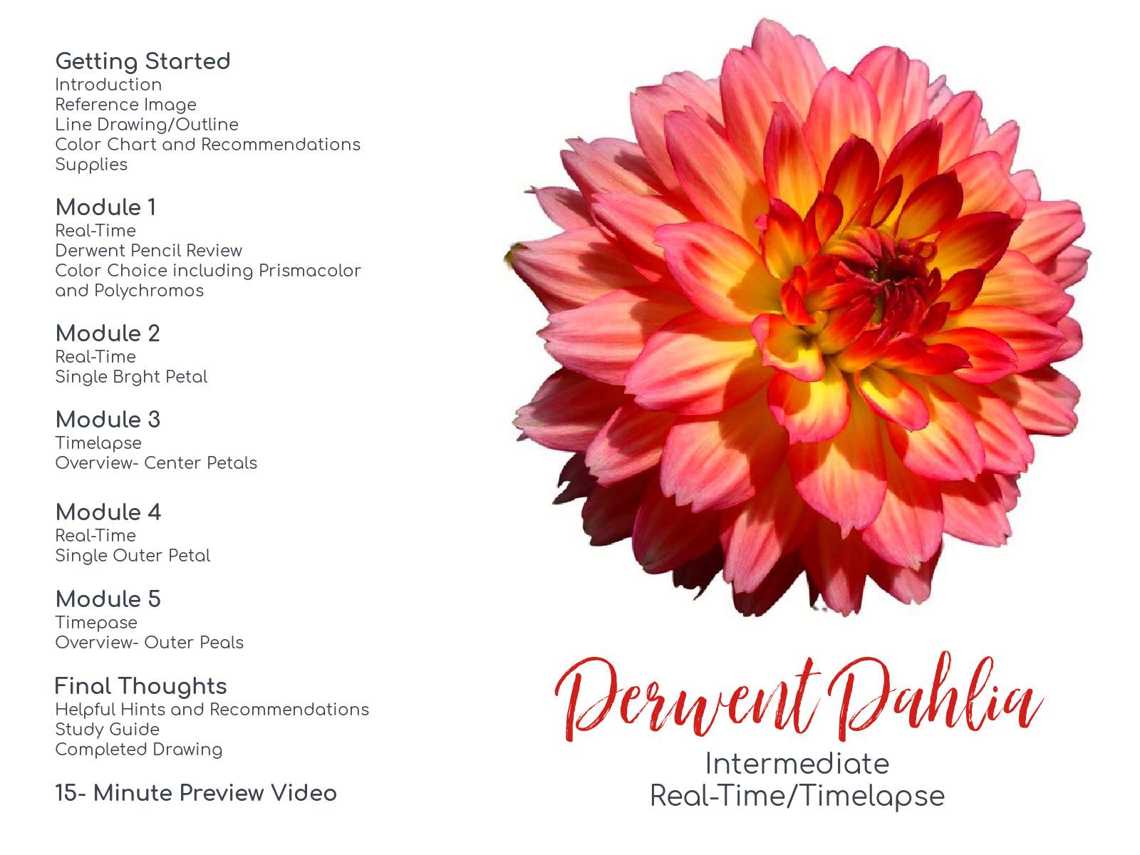 Link to Colored Pencil Drawing Tutorial of a Derwent Dahlia