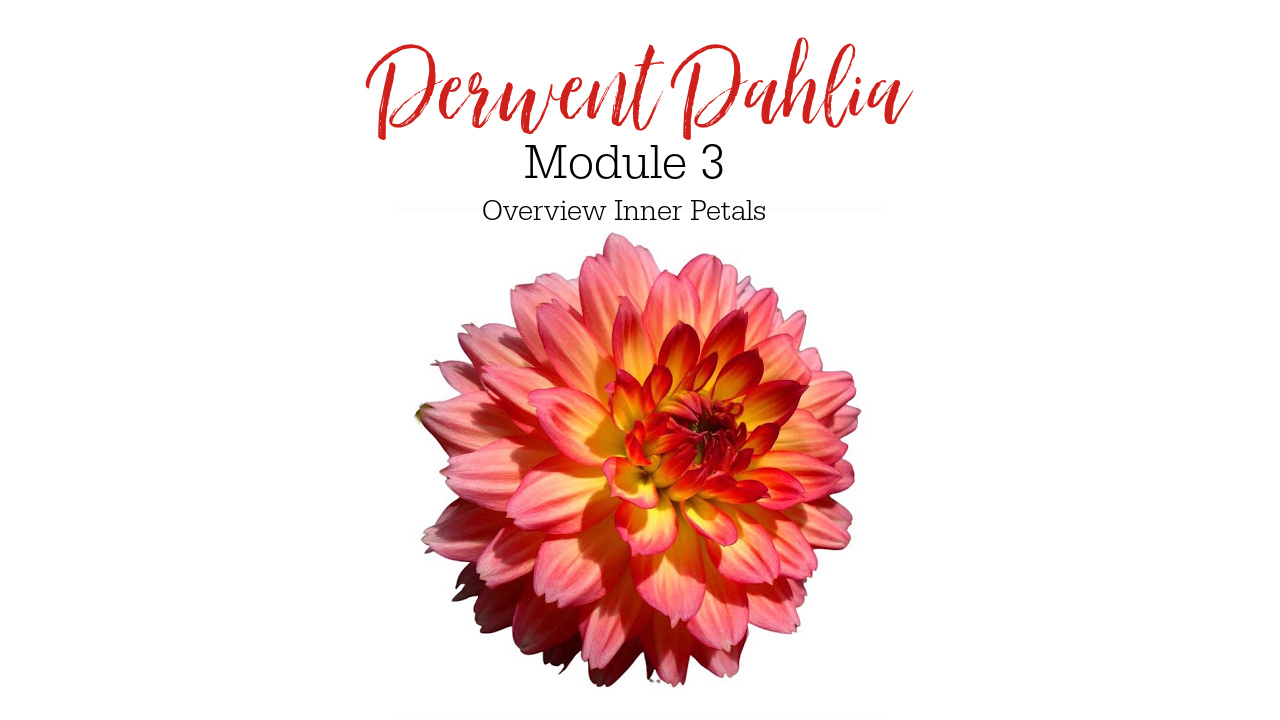Link to Colored Pencil Drawing Tutorial of a Derwent Dahlia