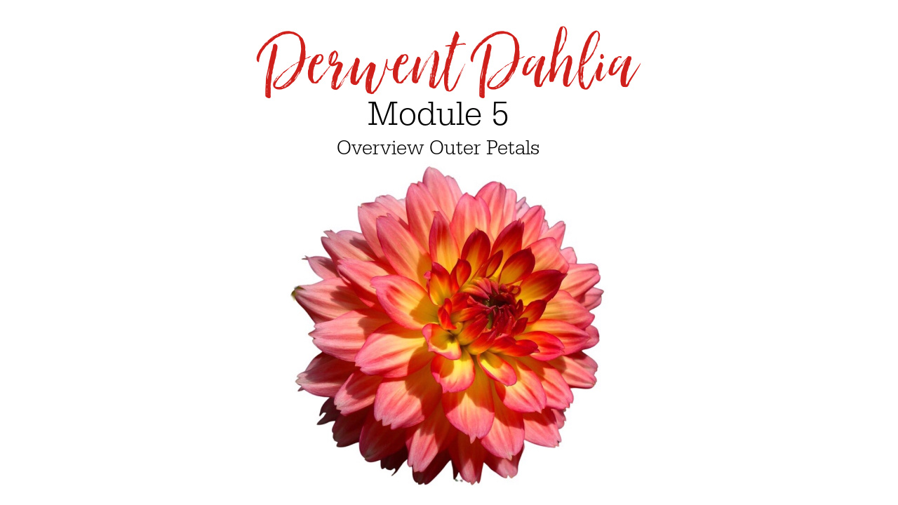 Link to Colored Pencil Drawing Tutorial of a Derwent Dahlia
