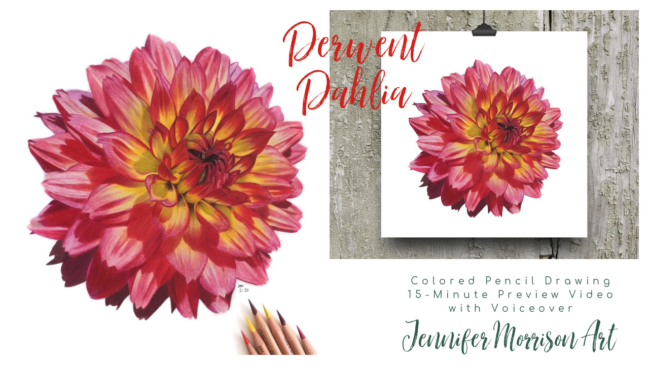 Link to Colored Pencil Drawing Video of a Derwent Dahlia on YouTube