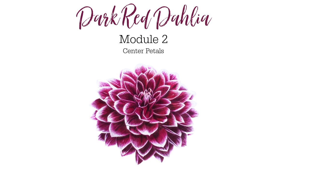 Link to Colored Pencil Drawing Tutorial of a Dark Red Dahlia