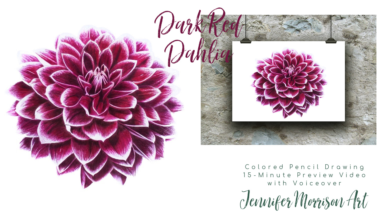 Link to Colored Pencil Drawing Video of a Dark Red Dahlia on YouTube