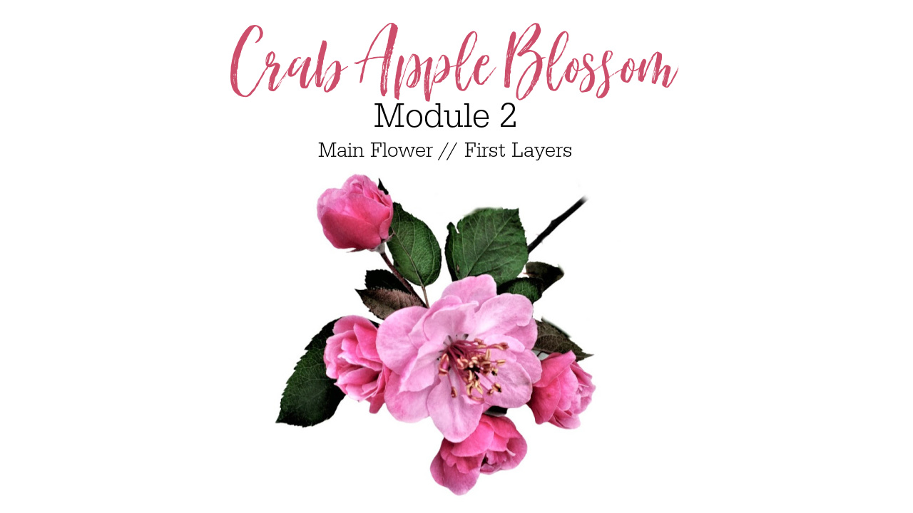 Link to Colored Pencil Drawing Tutorial of a Crab Apple Blossom