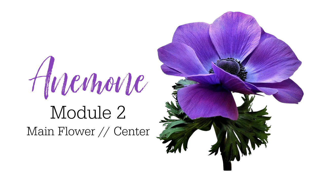 Colored Pencil Drawing Tutorial Anemone Link to Patreon