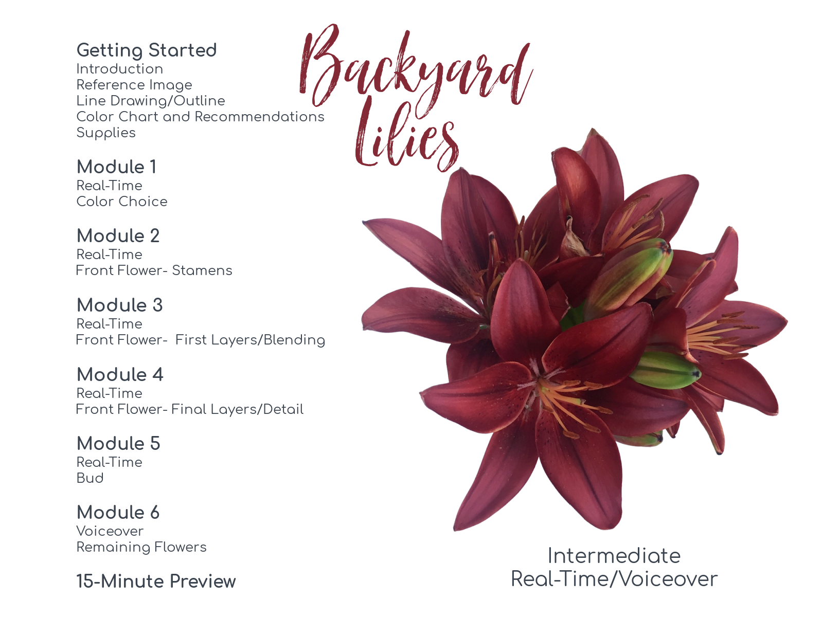 Link to Colored Pencil Drawing Video of Backyard Lilies