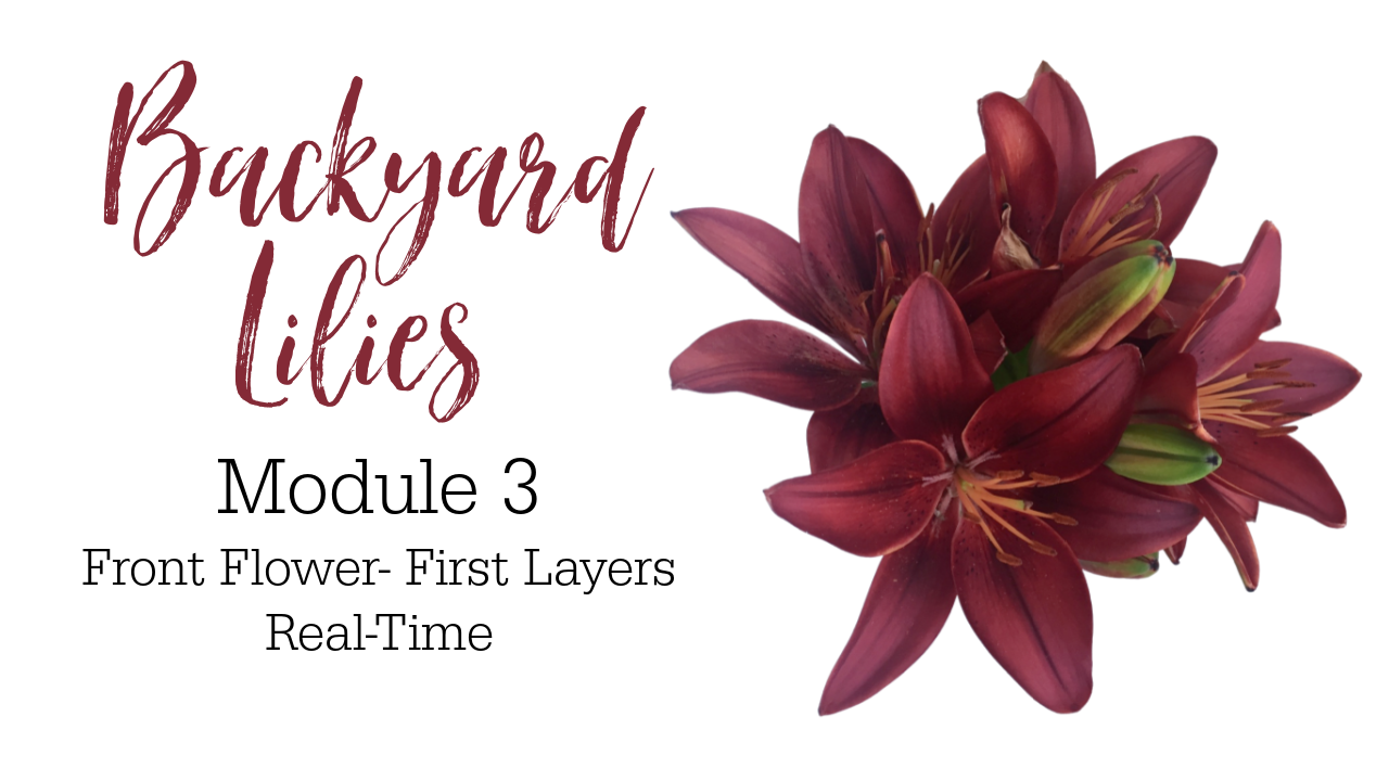 Link to Colored Pencil Drawing Video of Backyard Lilies