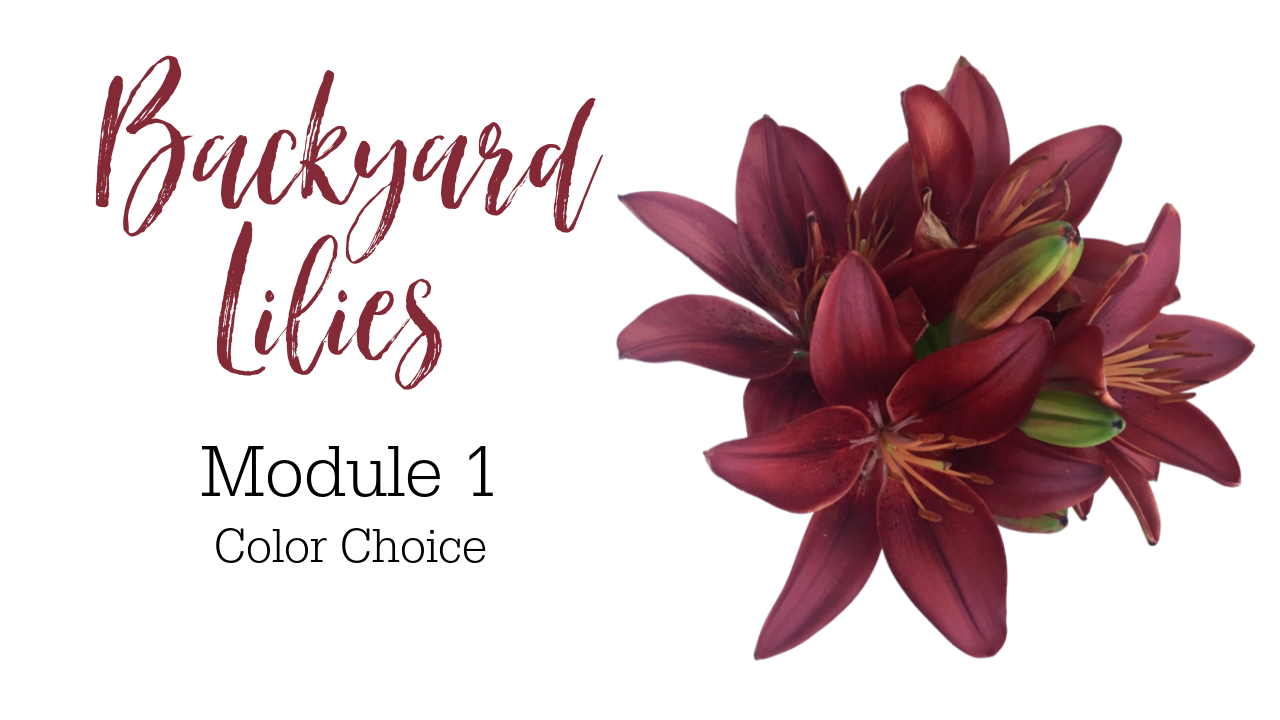 Link to Colored Pencil Drawing Video of Backyard Lilies