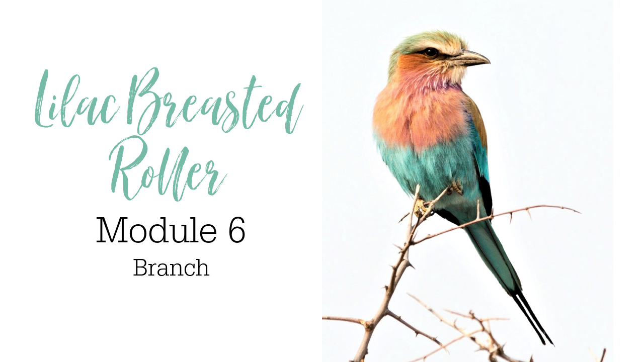 Link to Colored Pencil Drawing Tutorial of a Lilac Breasted Roller