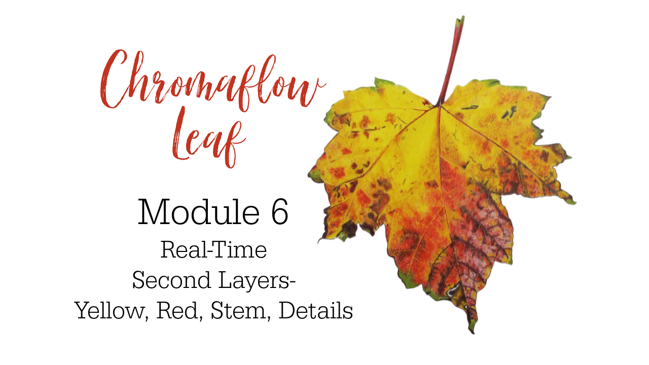 Link to Colored Pencil Drawing Tutorial of a Chromaflow Leaf