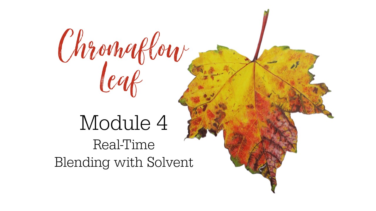 Link to Colored Pencil Drawing Tutorial of a Chromaflow Leaf