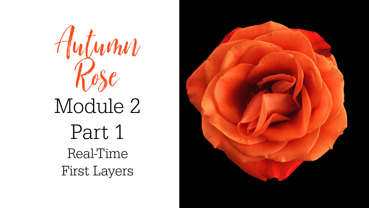 Link to Colored Pencil Drawing Video of an Autumn Rose