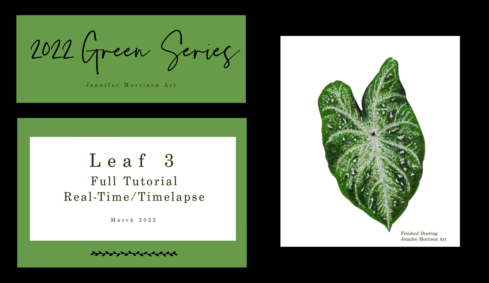 Link to Colored Pencil Drawing Tutorial of a Green Leaf with Raindrops