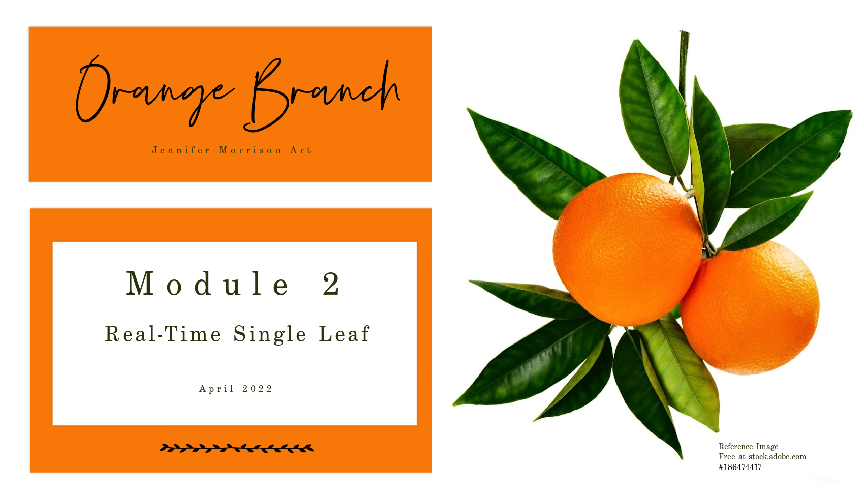 Link to Colored Pencil Drawing Tutorial of an Orange Branch