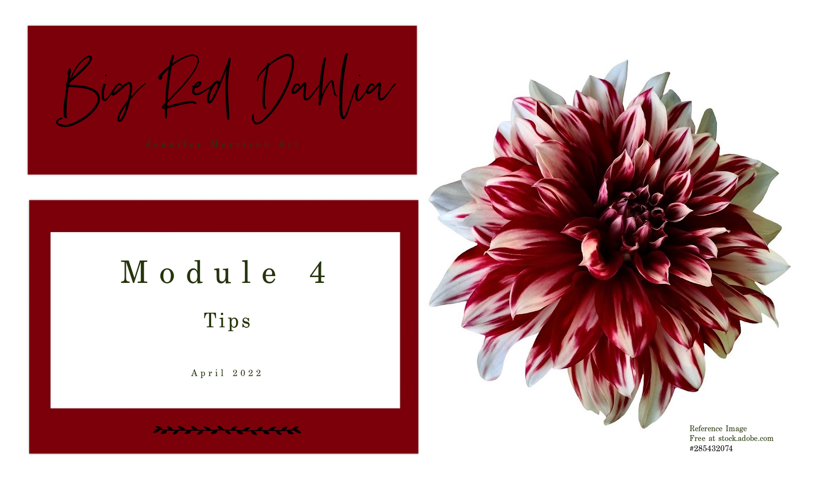 Link to Colored Pencil Drawing Video of a Big Red Dahlia