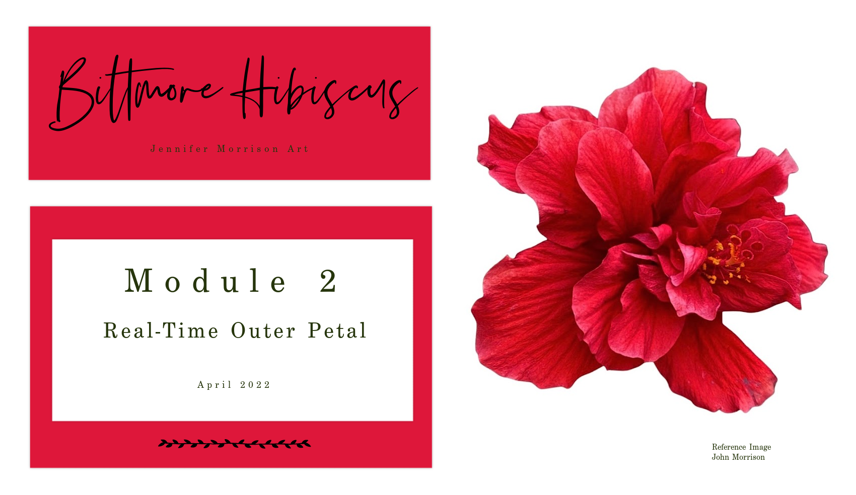 Link to Colored Pencil Drawing Tutorial of a Biltmore Hibiscus