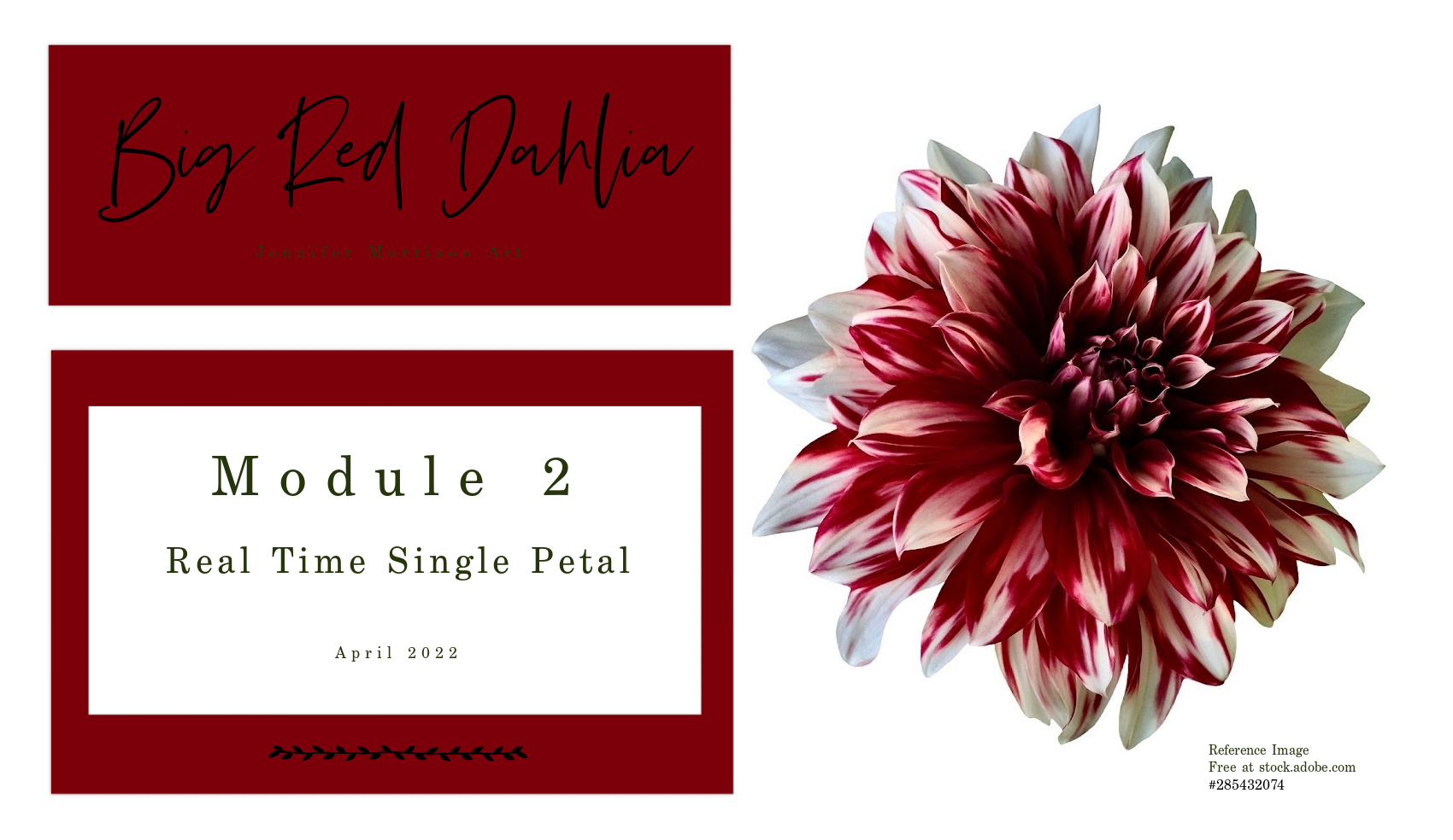 Link to Colored Pencil Drawing Video of a Big Red Dahlia