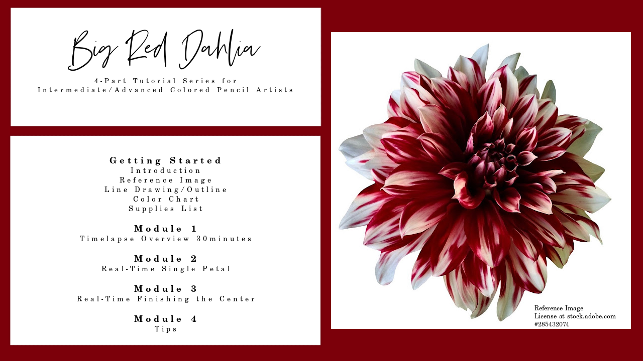 Link to Colored Pencil Drawing Video of a Big Red Dahlia