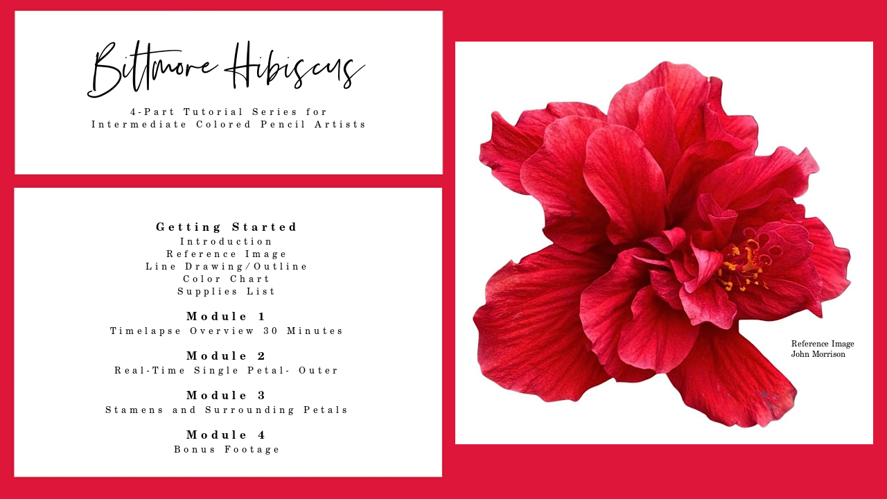 Link to Colored Pencil Drawing Tutorial of a Biltmore Hibiscus