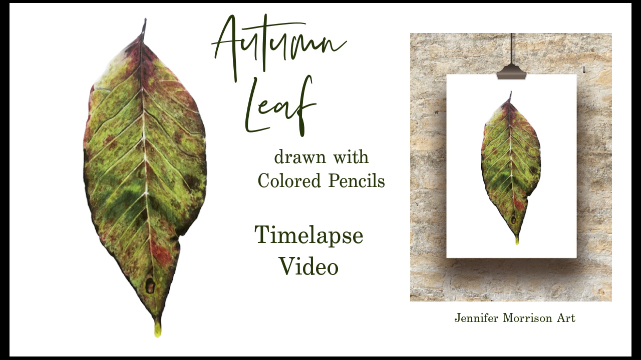 Link to Colored Pencil Timelapse Preview of an Autumn Leaf on YouTube