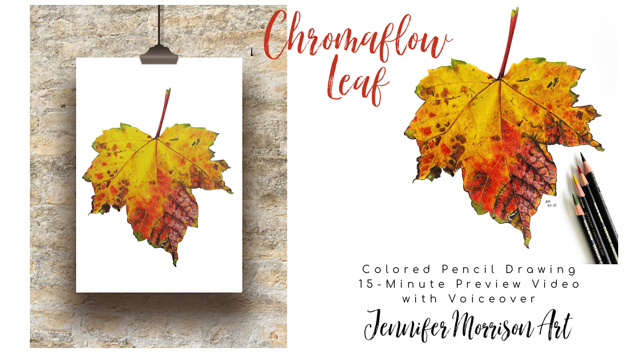 Link to Colored Pencil Drawing Video of a Chromaflow Leaf on YouTube