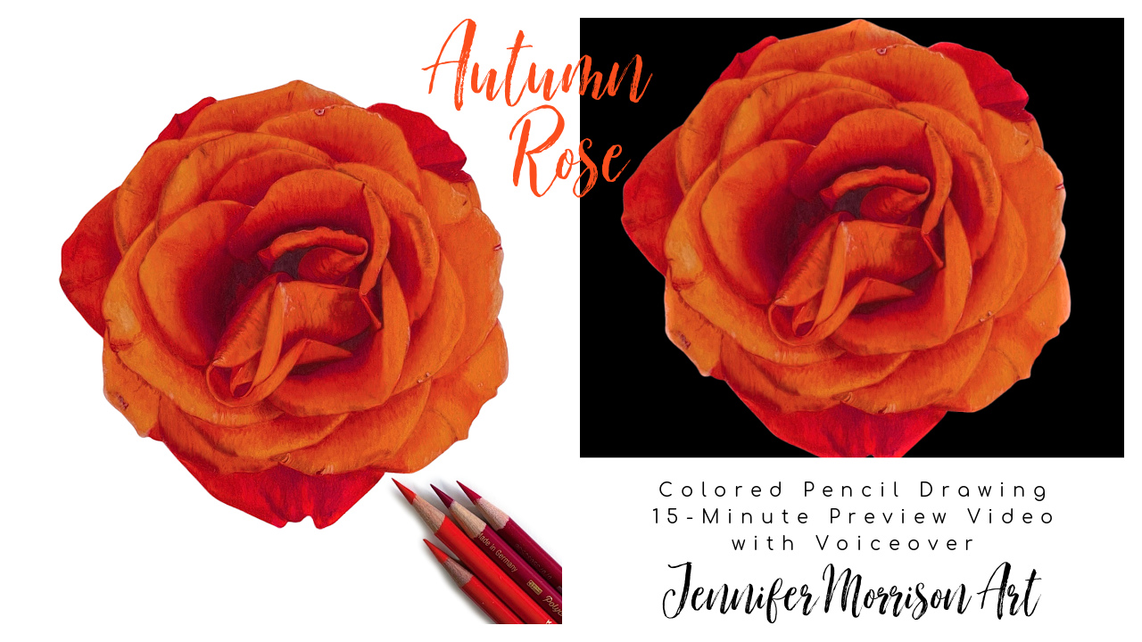Link to Colored Pencil Drawing Preview of an Autumn Rose