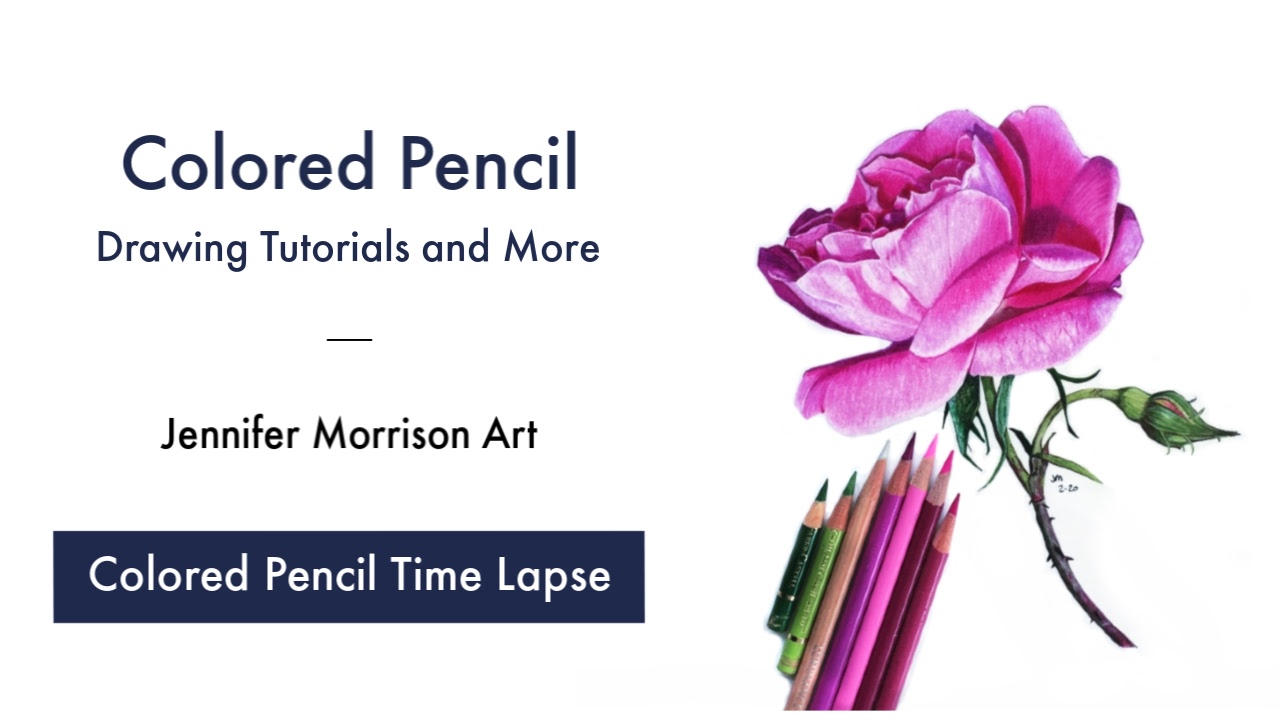 Link to Colored Pencil Drawing Video of a Pink Rose on YouTube