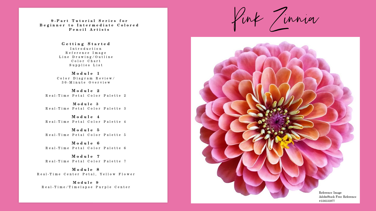 Link to Colored Pencil Drawing Tutorial of a Pink Zinnia