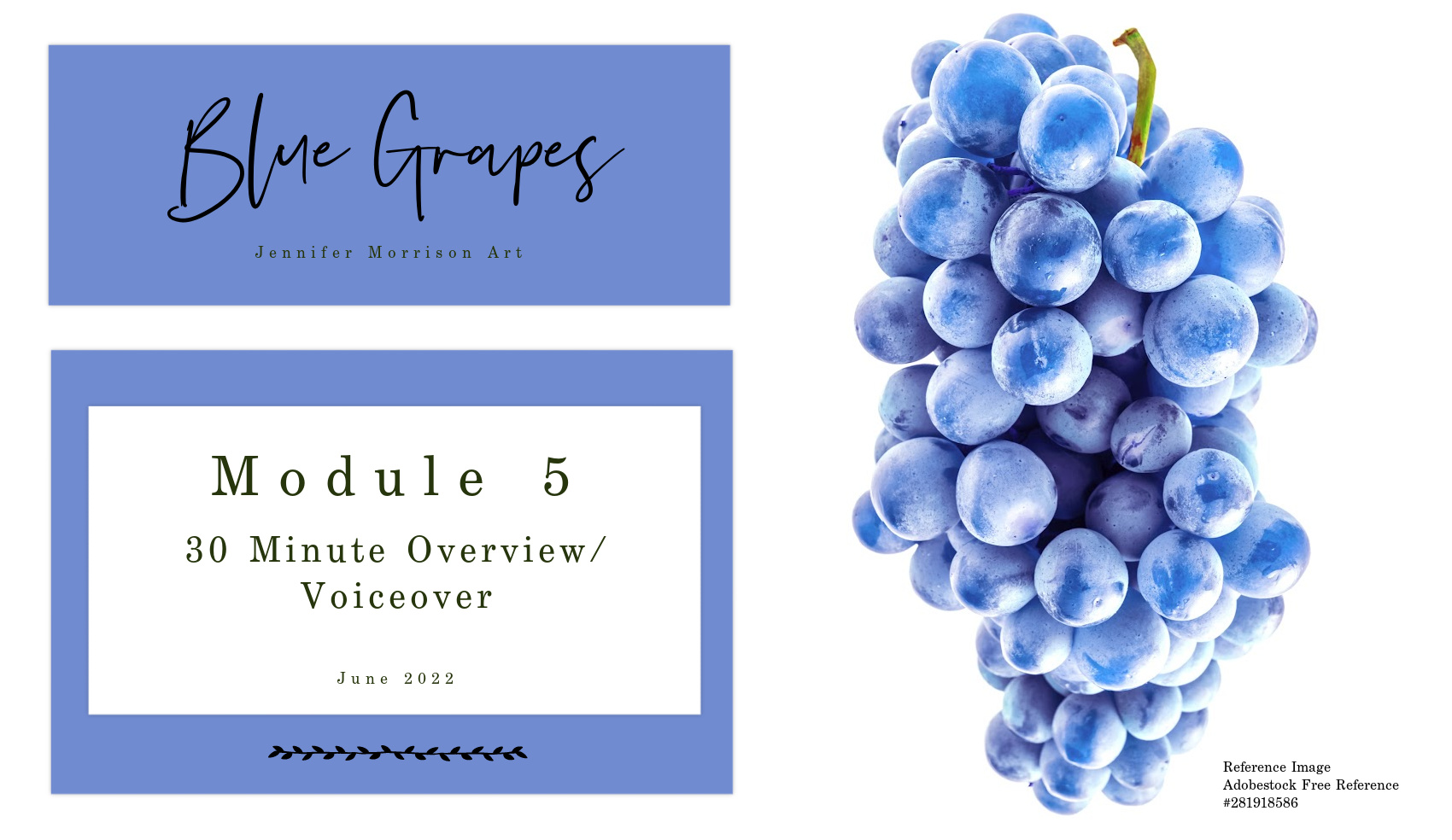 Link to Colored Pencil Drawing Tutorial of Blue Grapes