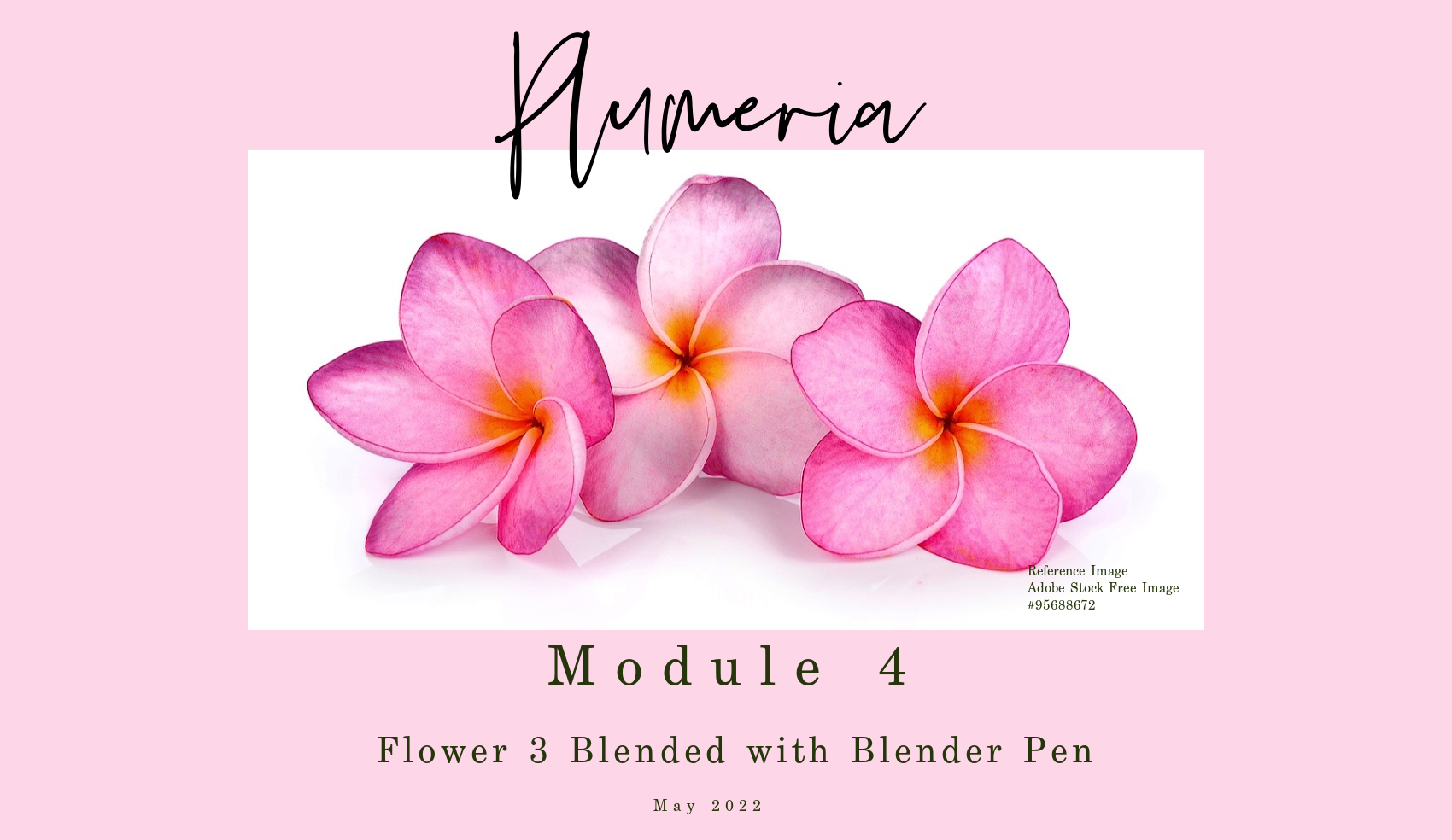 Finesse Blender Pen for Colored Pencil