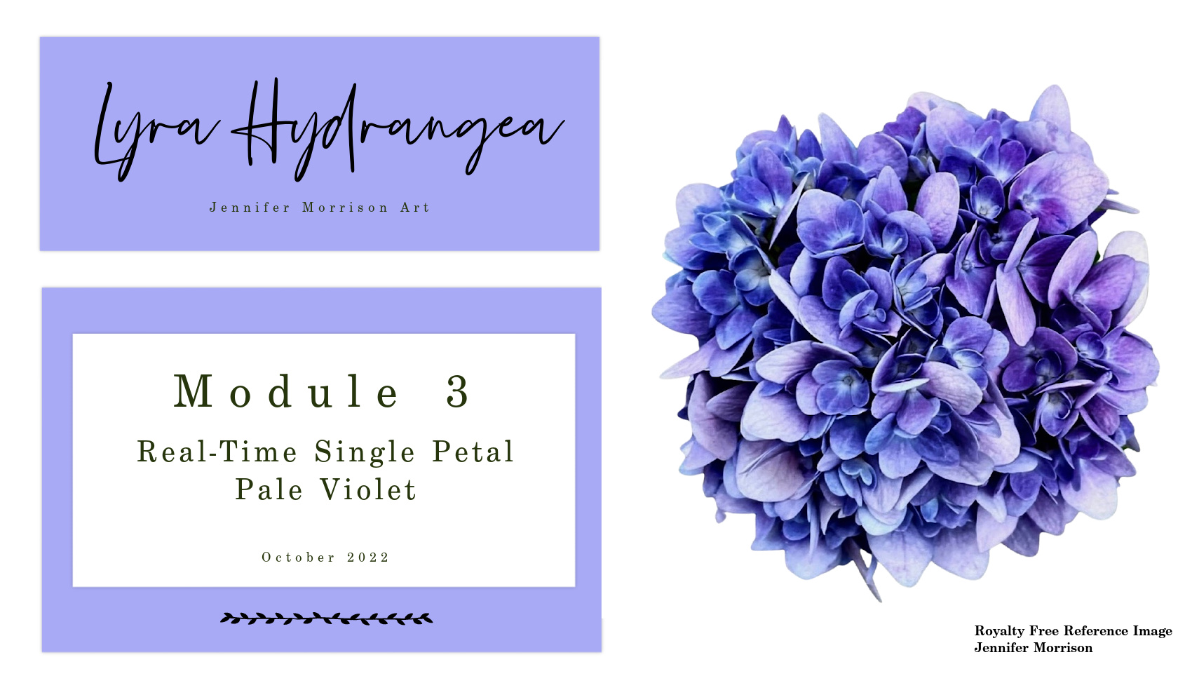 Link to Colored Pencil Drawing Tutorial of a Lyra Hydrangea