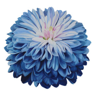 Blue Mum Fine Art Print