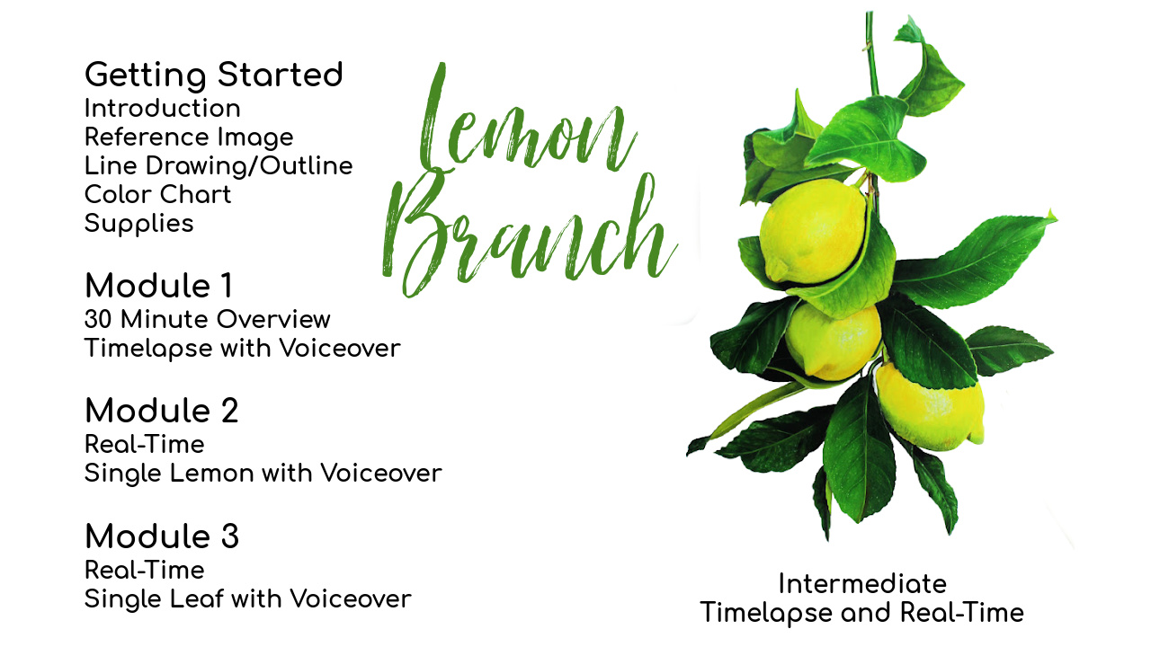 Link to colored pencil drawing Lemon Branch Tutorial 