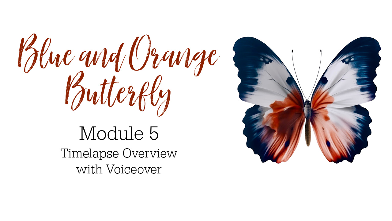 Link to Colored Pencil Drawing Tutorial of a Blue and Orange Butterfly
