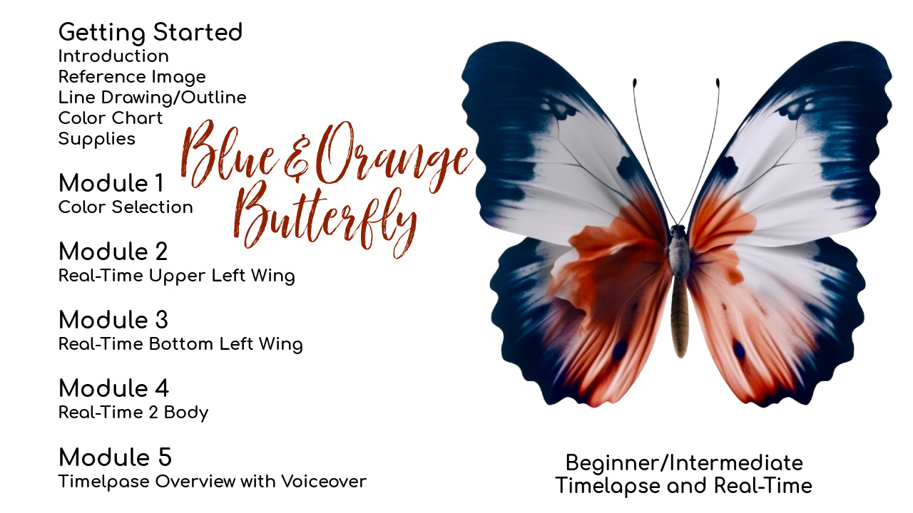 Link to Colored Pencil Drawing Tutorial of a Blue and Orange Butterfly