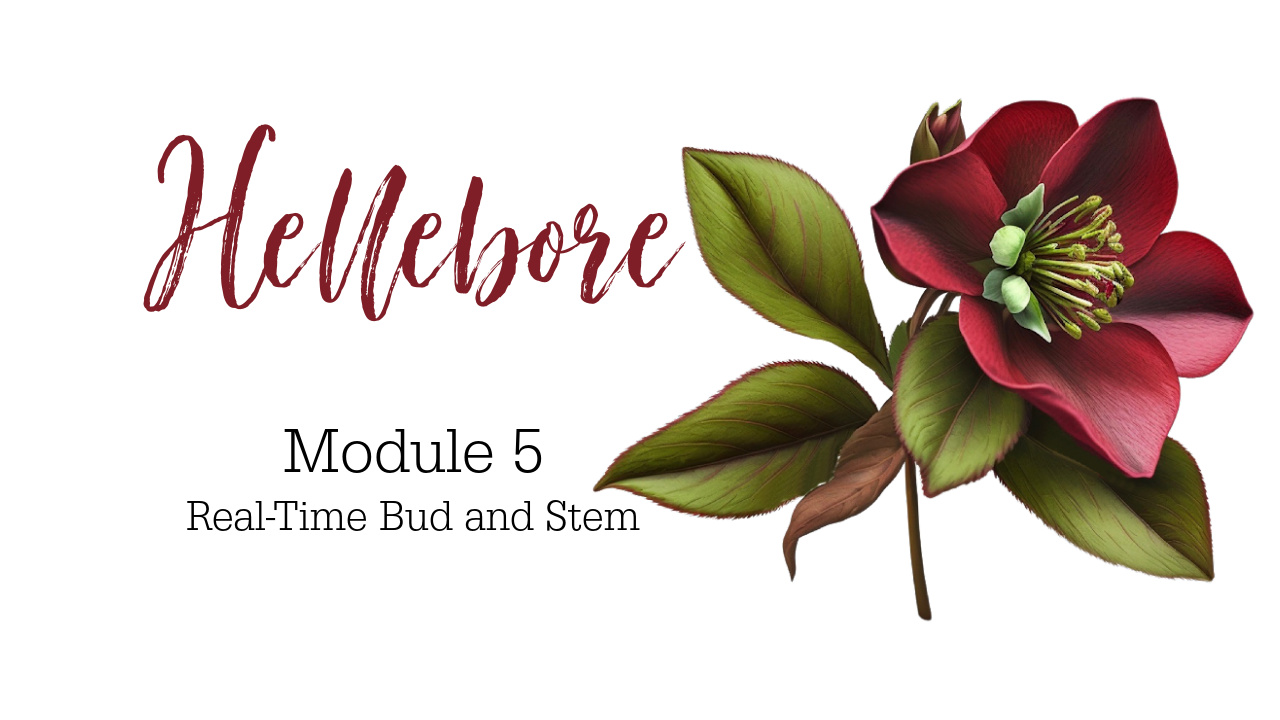 Link to Beginner Hellebore colored pencil drawing Tutorial on Patreon