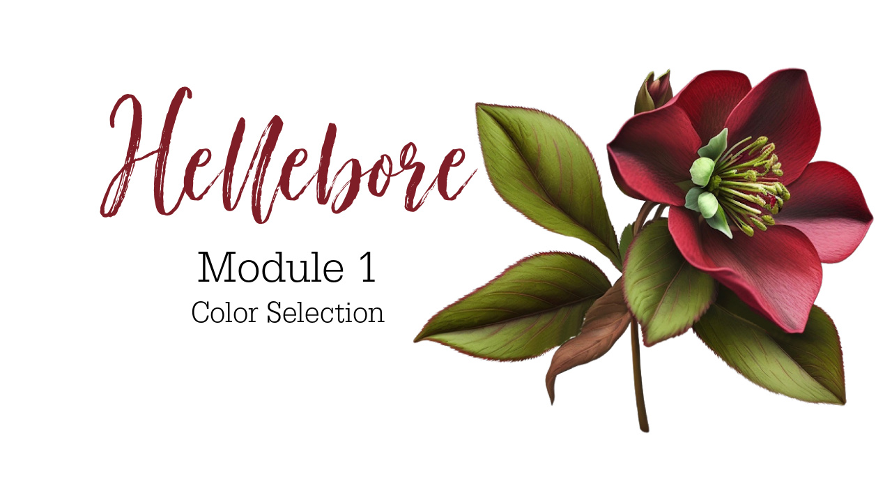 Link to Beginner Hellebore colored pencil drawing Tutorial on Patreon
