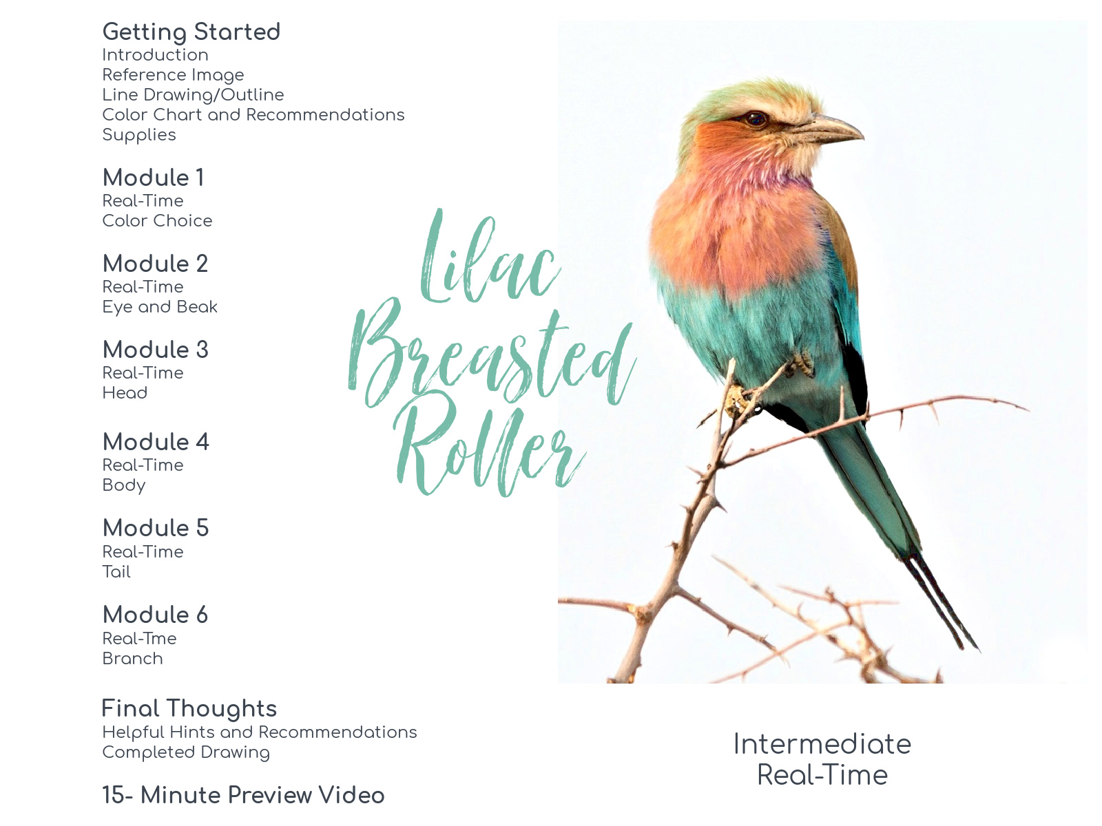 Link to Colored Pencil Drawing Tutorial of a Lilac Breasted Roller