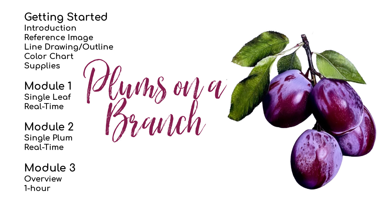 Link to Beginner Red Rose Tutorial on Patreon